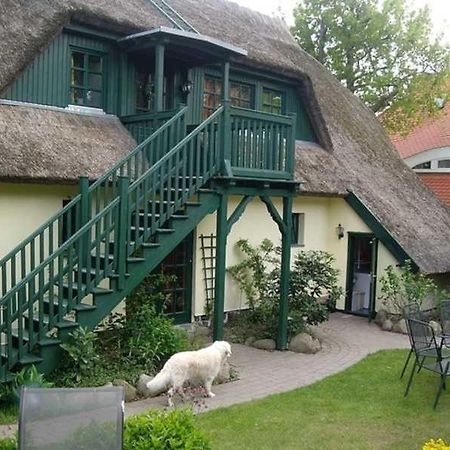 Schilfdachvilla Zeesboothaus We308 Kleinhagen Luaran gambar
